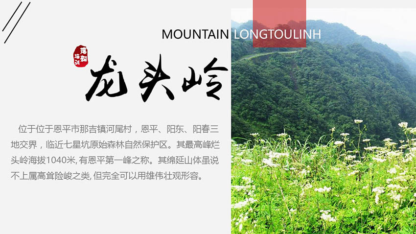 高山草甸龙头岭