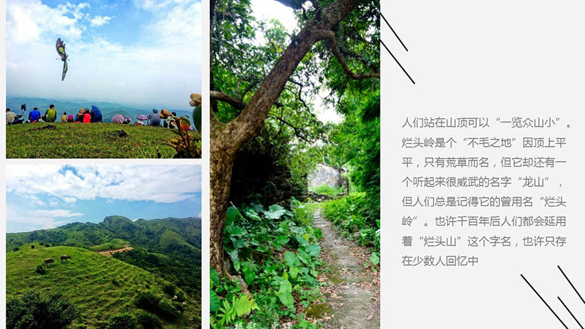 高山草甸龙头岭