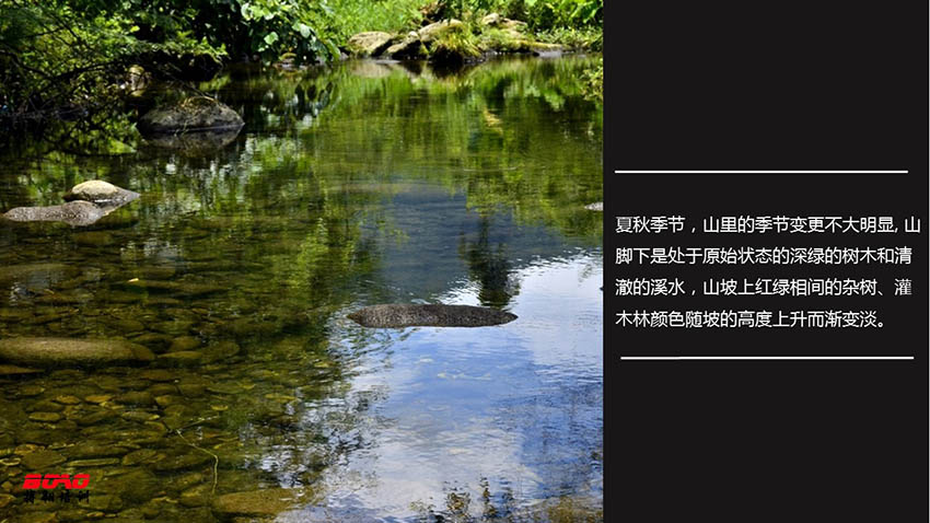 高山草甸龙头岭