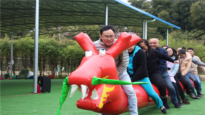 二龙贸易年会暨团建活动-20180202