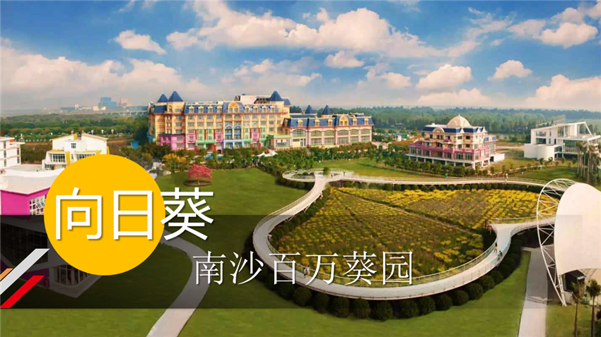 南沙百万葵园