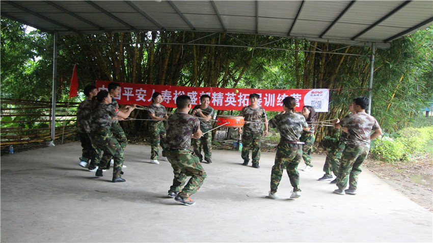 中国平安人寿佛山南海大湿地拓展训练活动