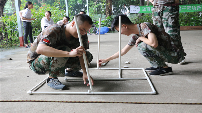 晓直播教育拓展训练活动取得圆满成功